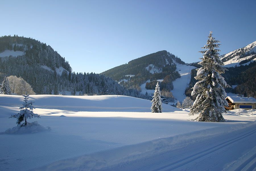 Winterlandschaften im Heutal