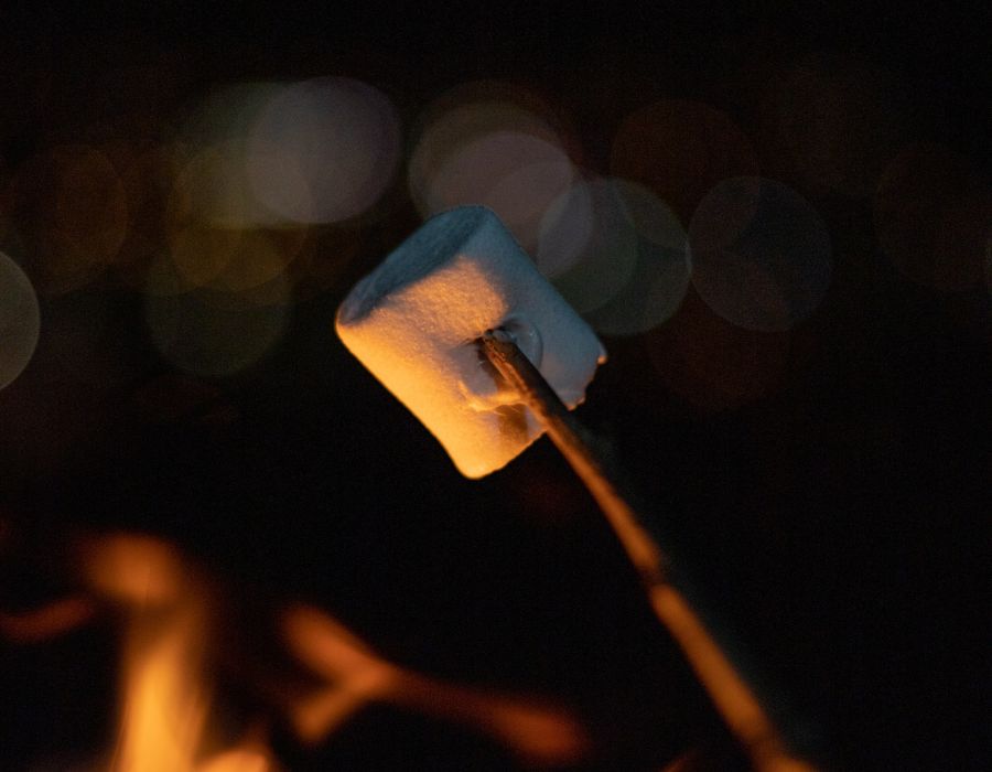 Grillen am Lagerfeuer