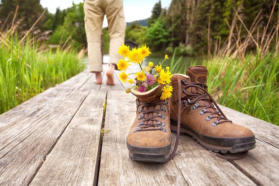 Wandern im Almengebiet