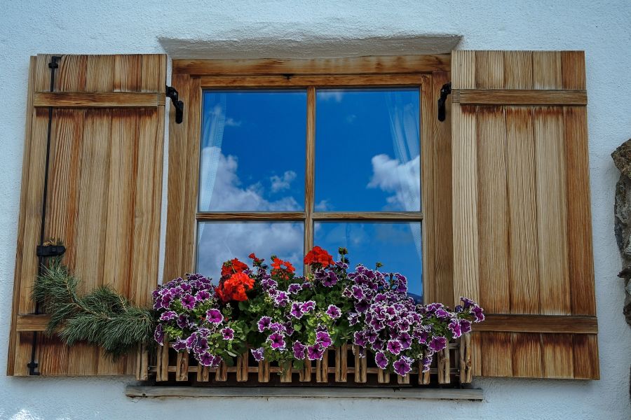 Fensterbalken mit Sommerblumen